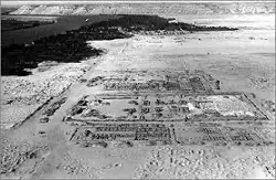 Amarna remains