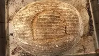 Ancient yeast, new bread