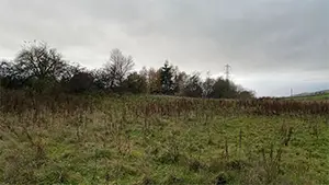 Antonine Wall remains