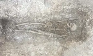 Barrow Clump Saxon warrior skeleton
