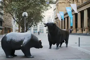 Bear and bull market