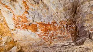 Borneo cave art animal