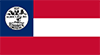 Tennessee Confederate flag