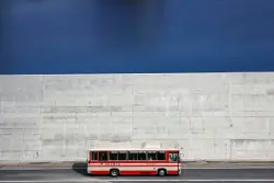 Concrete walls along Japan's coast