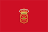 Navarre flag
