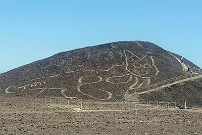 Nazca Lines cat