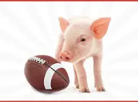 Pigskin