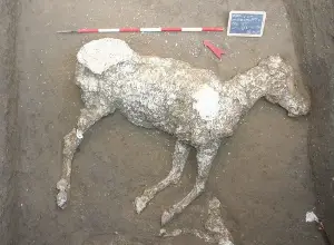 Pompeii horse