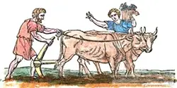 Roman farm workers
