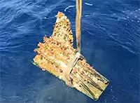 Roman naval battering ram