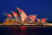 Sydney Opera House poppies