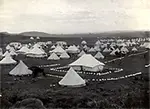 Bloemfontein concentration camp