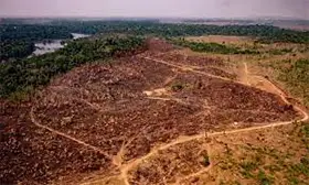 Deforestation in the Amazon rainforest