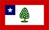 Mississippi Magnolia flag