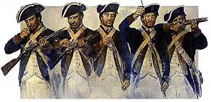 Colonial militia